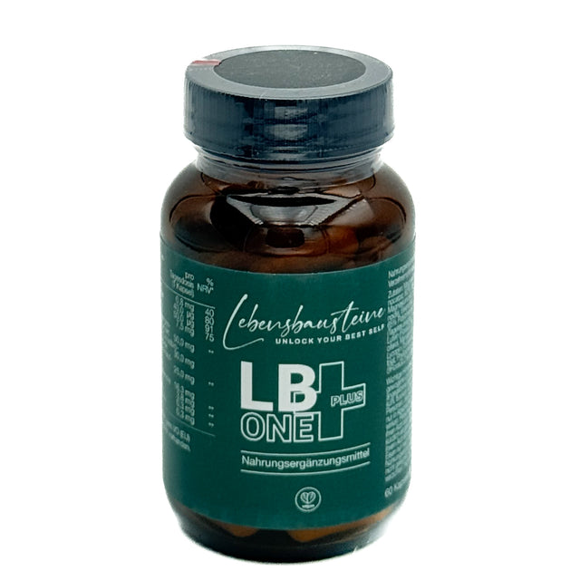 LB ONE +